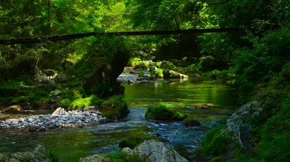 4k山涧小溪流水