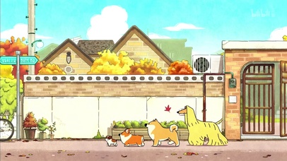 柯基和伙伴的日常