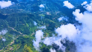 青山白云