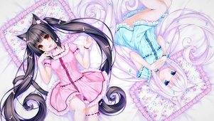 猫女
