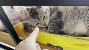 臭臭2