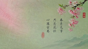 垂丝海棠春醒