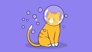 唯美猫咪吹泡泡