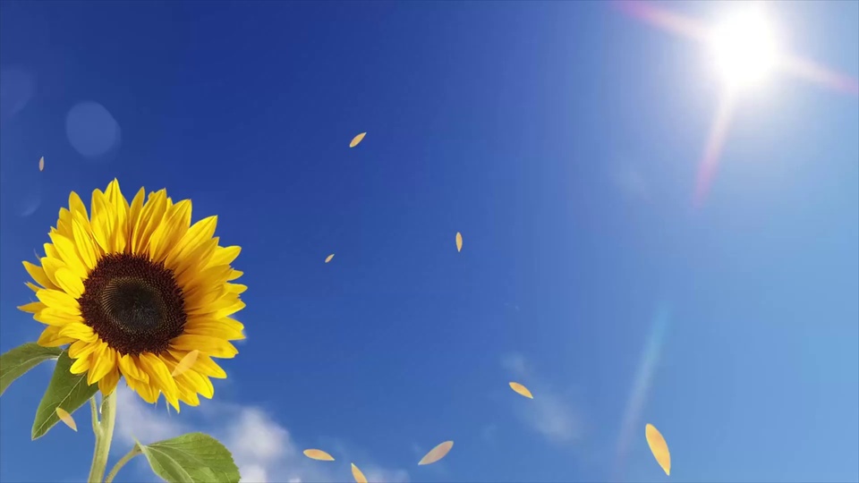 一朵明黄色花瓣、深褐色花盘的向日葵，背景是晴朗湛蓝天空，空中飘着零星黄色花瓣，有明亮太阳与少量白云。