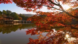 秋天湖畔红叶