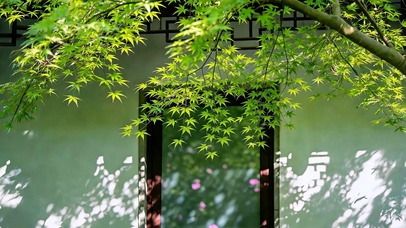 庭院揽清风