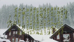 《沁园春·雪》