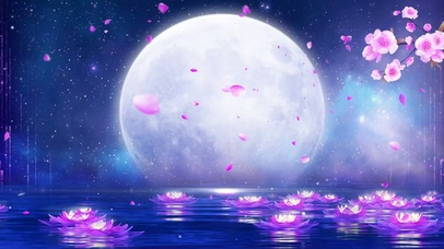 桃花月亮夜色河流荷花灯唯美