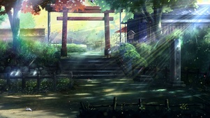 阳光森林