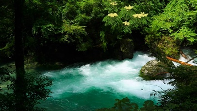 夏日湍急溪流
