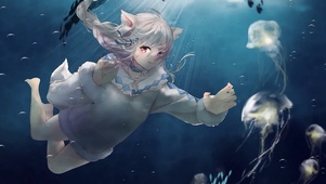 海底狐狐