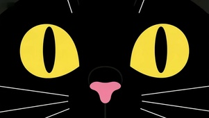 大眼黑猫头