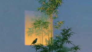 竹林光影