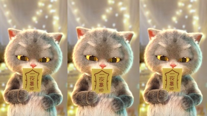 斑布猫-一夜暴帅