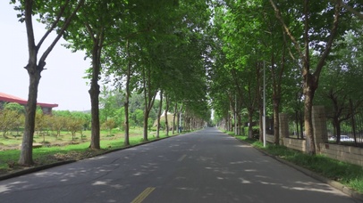 4k大学校园骑车穿梭林荫大道