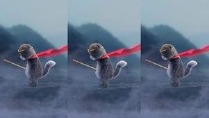 斑布猫-寒江孤影