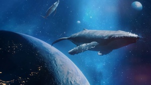 星空鲸游