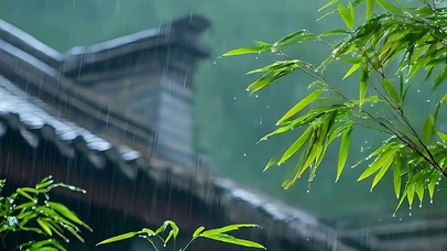 古风竹林雨天带鱼屏