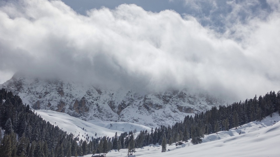 连绵的积雪山地被灰白色云团环绕，坡地上分布着深绿色针叶林，画面上方露出淡蓝色天空。