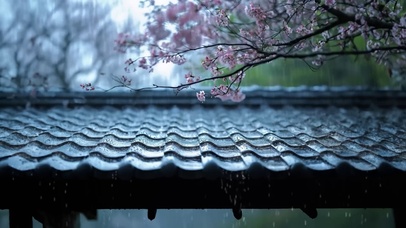 雨天桃花