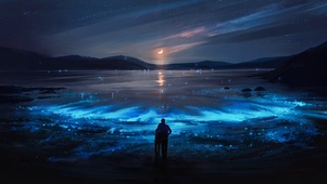 Night Landscape