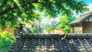 树荫下屋顶猫咪