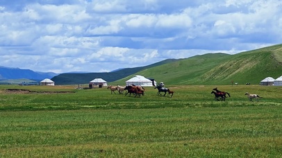 4k北方春季的草原及骏马奔跑