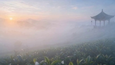 超清治愈系花草树林自然风铃塔