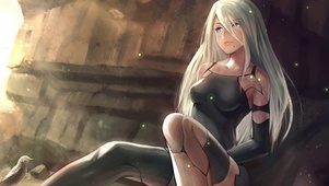 A2姐姐