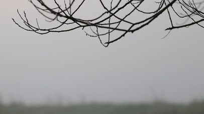 冷淡风-露水解压4k