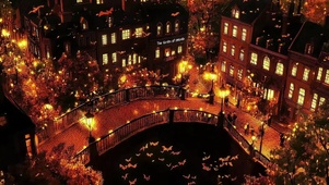 万圣秋日金色城市夜晚