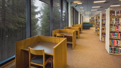 雨天森林图书馆