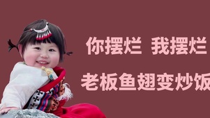 “你摆烂我摆烂老板鱼翅遍炒饭”