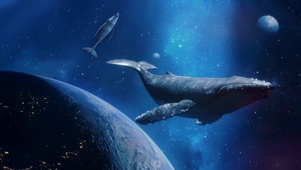 星鲸