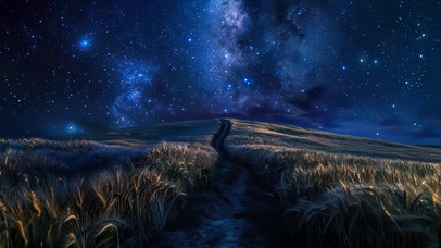麦田星夜