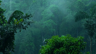 雨天