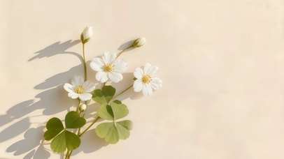 小清新幸运草