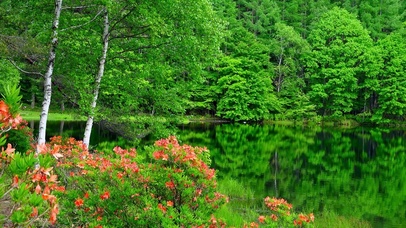 夏日青山绿水湖