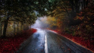 雨天秋意小路