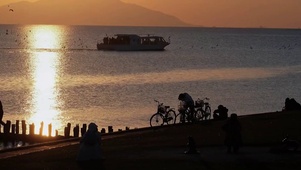 浮光跃金