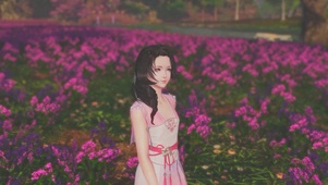 花海中