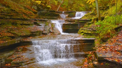 放松秋林山间流水