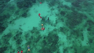 游泳嬉戏
