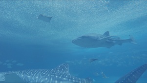 深海