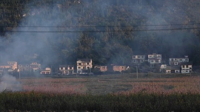 清晨