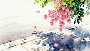 春天的栾树花开