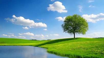 唯美的自然风景