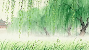 唯美的春雨