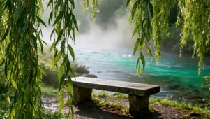 雨后河畔清新自然风景