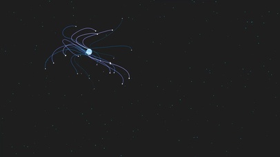 宠物桌面